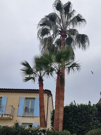 Welc'home Services, Jardinier à Vence