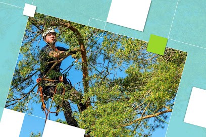 Daniel Pister Entretien d'espace vert jardinage à Nantes 44 Élagueur jardinier et Paysagiste, Jardinier à Bouguenais