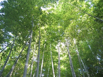 Shadow and Light Gardens, Jardinier à Saint-Maur-des-Fossés