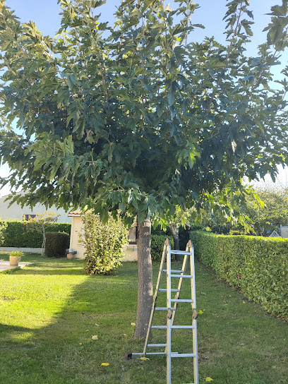 Mon Jardinier Jardinier à Daumazan-sur-Arize