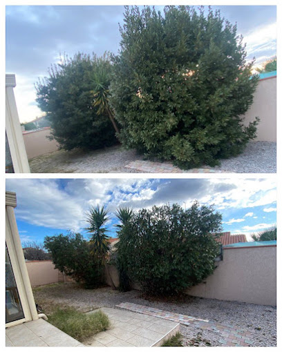 Élagage Perpignan & Espaces Verts 66 - Débroussaillage Elagueur Renolde Jardinier à Perpignan