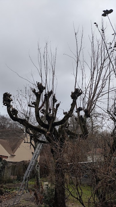 Edelweiss Services, Jardinier à Montgeron