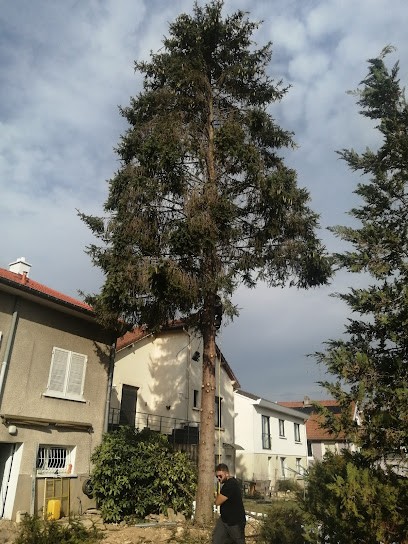 Franck Elagage parc et jardin, Jardinier à Verdun
