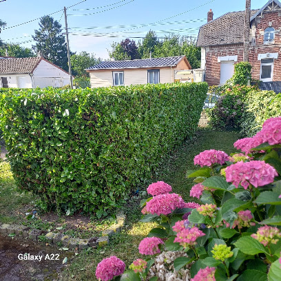 Julien Multiservices, Jardinier à Cappy