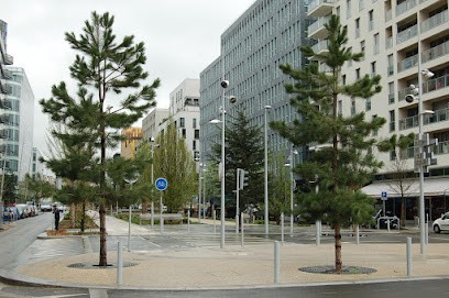 ESPACES VERTS ET JARDINS, Jardinier à Versailles