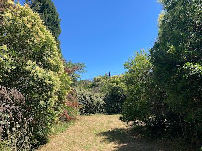 Vert Le Sud, Jardinier à Port-Saint-Louis-du-Rhône