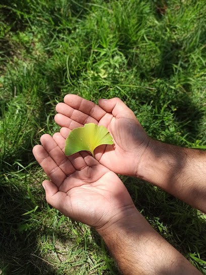 Mains De Jardin, Jardinier à Velaux