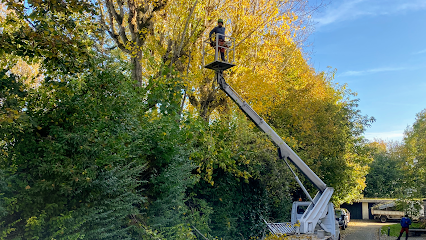 Debarre Parcs Et Jardins Jardinier à Verrières-le-Buisson