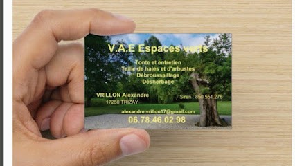 V.A.E multiservice, entretien jardin, Jardinier à Trizay