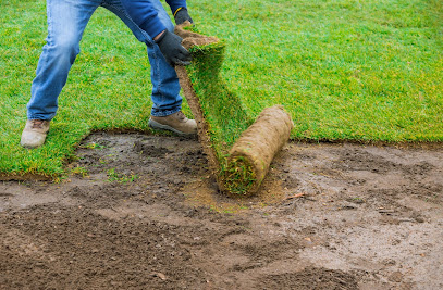 Clean Garden - Taille Haie, Tonte, Pose Gazon Rouleau, Gazon Synthétique, Jardinier à Vert-Saint-Denis