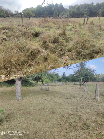 La main verte, Jardinier à Paulhac