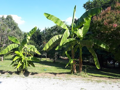 Fred multi-service 16, Jardinier à Oriolles