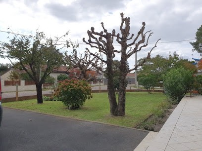 Paysages Espaignet, Jardinier à Virelade