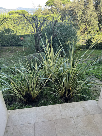 Rg Services Jardinier à Cogolin