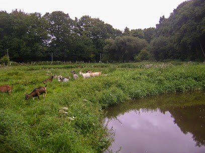 Écopaturage Bretagne - Patur'Rance, Jardinier à Saint-André-des-Eaux