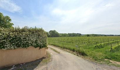 Rivière Multiservices, Jardinier à Teyran