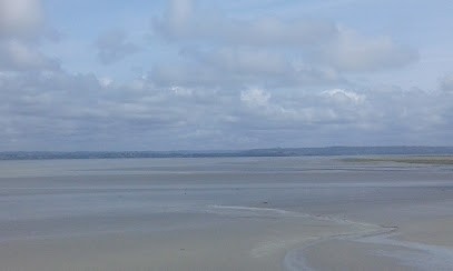 O2 Jardinage Saint-Jean-de-Braye, Jardinier à Saint-Jean-de-Braye