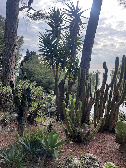 Fdf Services Provence Jardinier à Martigues
