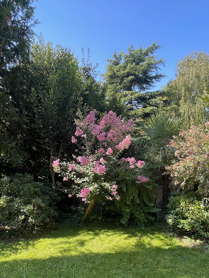 Les Jardins De Voilette Jardinier à Saint-Cloud