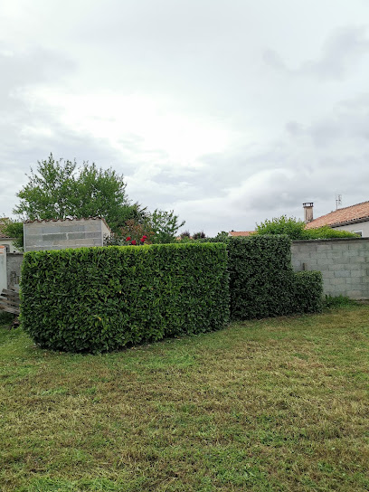 V.a.e Espace Vert/Multi-Services Jardinier à Trizay