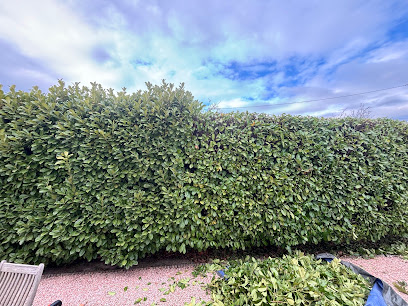 Baumann Entretien-Jardin Jardinier à Cabriès