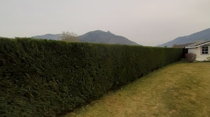 Jc Services, Jardinier à Vimines