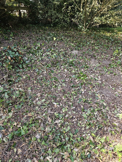 Guillaume Déblaiement & Multi-Services Jardinier à Neufchâtel-Hardelot