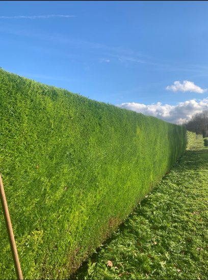 Breuillet Gerald Jardinier Angoulême, Jardinier à Linars
