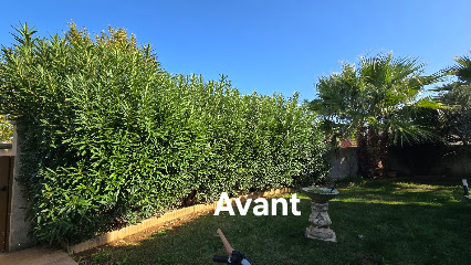 Nc Jardin Paca, Jardinier à Nans-les-Pins