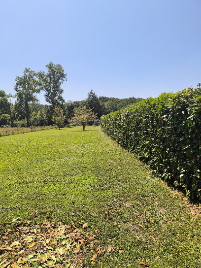 Boiteau Sébastien Jardinier à Sagy