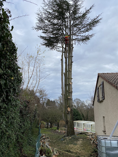 Des Racines Et Des Feuilles, Jardinier à Cortevaix