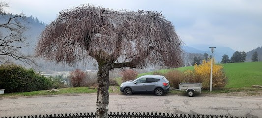 Sébastien Multiservices, Jardinier à Sainte-Marie-aux-Mines
