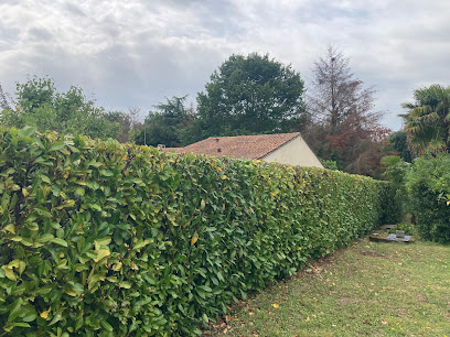 Njv Multiservices Du Grand Libournais, Jardinier à Sainte-Terre