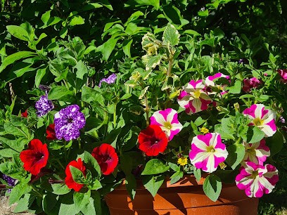Les Serres Sancerroises, Jardinier à Vinon