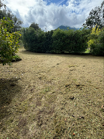 Talcini Diraschera, Jardinier à Corte