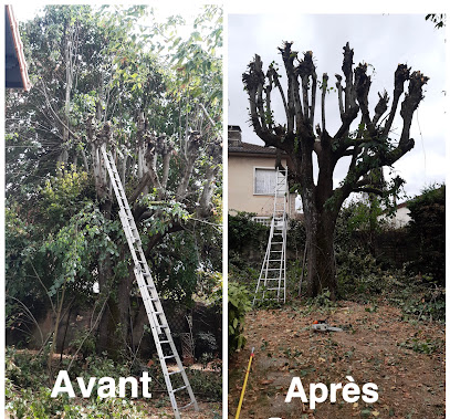 Koebel Elagage - Elagage Abattage 70, 90, 25, - Taille De Haie Montbéliard - Elagueur Haute Saône Franche-Comté, Jardinier à Frotey-lès-Lure