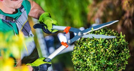 La Main Verte, Jardinier à Vannes