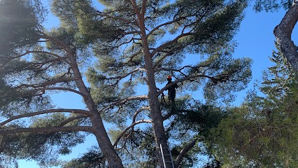 M. Meinhard Jardinier élagueur Professionnel, Jardinier à Toulon