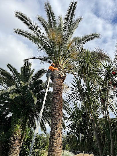 Jardins Aux 4 Saisons, Jardinier à Tarnos
