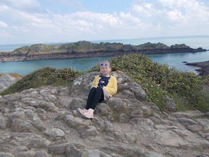 Riquet la bricole - bricolage, entretien de jardin, motoculture, Jardinier à Auneau-Bleury-Saint-Symphorien