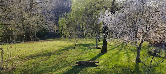 Matthias Multi Services Jardinier à Cubjac-Auvézère-Val d'Ans
