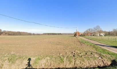 Leaf Sensation Paysages, Jardinier à Villemur-sur-Tarn