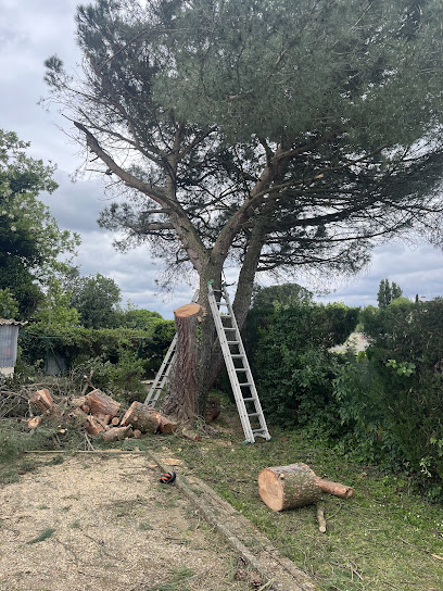 Élagage Hoffmann À Meyzieu Lyon Jardinier à Meyzieu