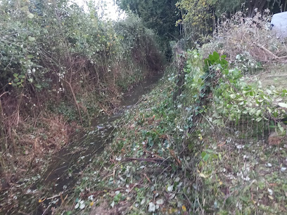 Les Services De Jéjé 24 Jardinier à Neuvic