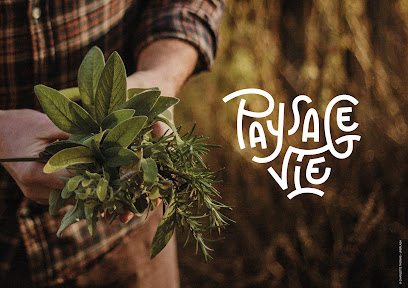 Paysagevie Jardinier à Labège
