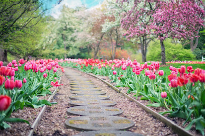 Perfect Garden 33, Jardinier à Latresne