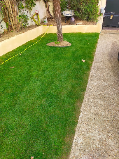 Le Printemps Est Arrivé Jardinier à Courbevoie