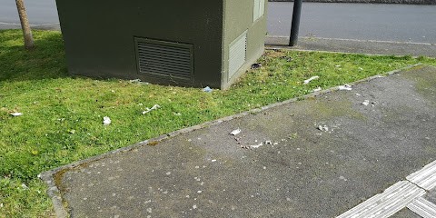 Adena Paysage et Services, Jardinier à Saint-Jacques-de-la-Lande