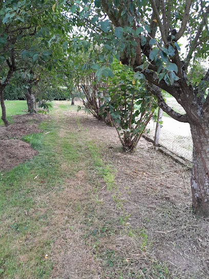 E.i Trichet Tonte Et Débroussaillage, Petits Travaux De Jardinage, Jardinier à Mézériat
