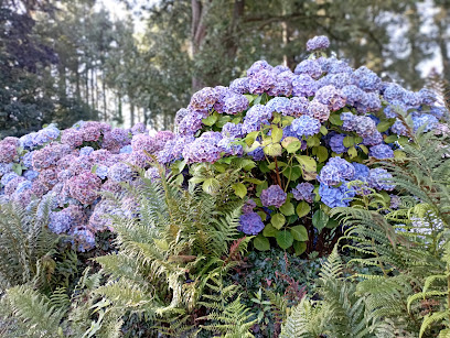 Le Temps De La Terre - Paysages & Jardins Vivants, Jardinier à Déville-lès-Rouen